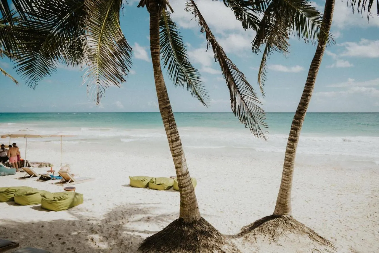 Zorba Tulum Beach Homes