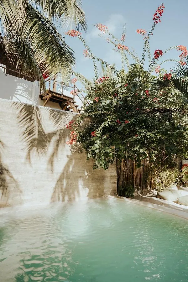 Zorba Tulum Beach Homes