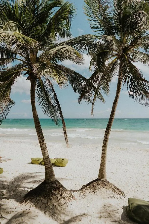 Zorba Tulum Beach Homes Villa
