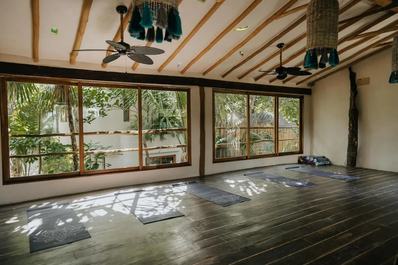 Zorba Tulum Beach Homes Mexico
