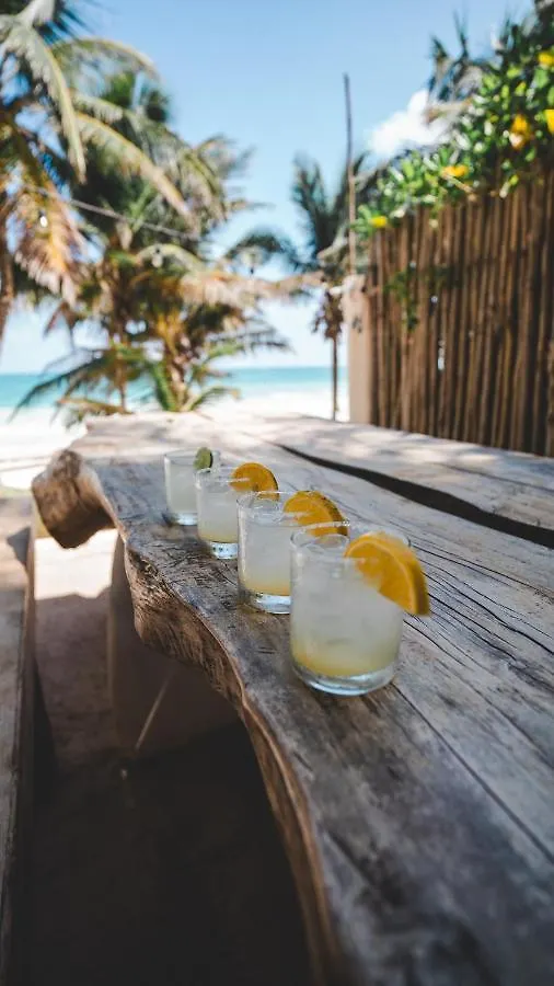 Zorba Tulum Beach Homes 0*,  Mexico