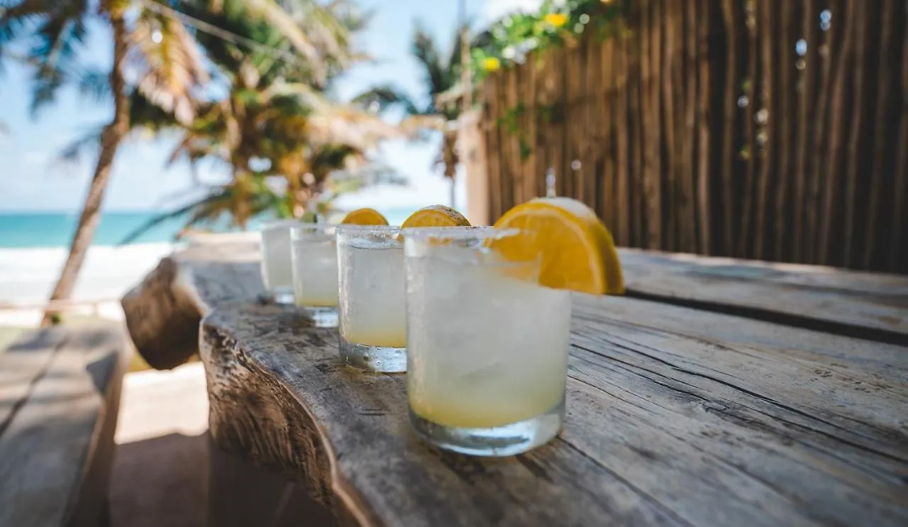 Villa Zorba Tulum Beach Homes Mexico