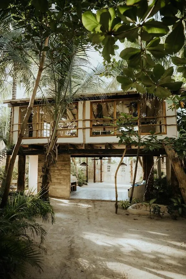 Zorba Tulum Beach Homes Mexico